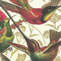 Hummingbirds Italian Print Paper ~ Rossi Italy